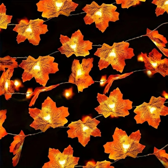 Maple Leaf LED String Lights, NEW, Festive, Autumn, Fall Decor - Picture 8 of 14
